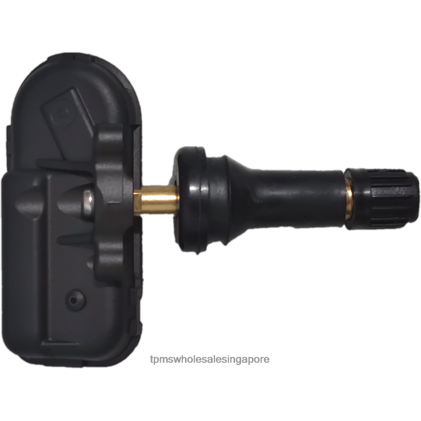 TPMS Installation Singapore | 4ZR4481284 TPMS Baojun Tire Pressure Sensor 23984663