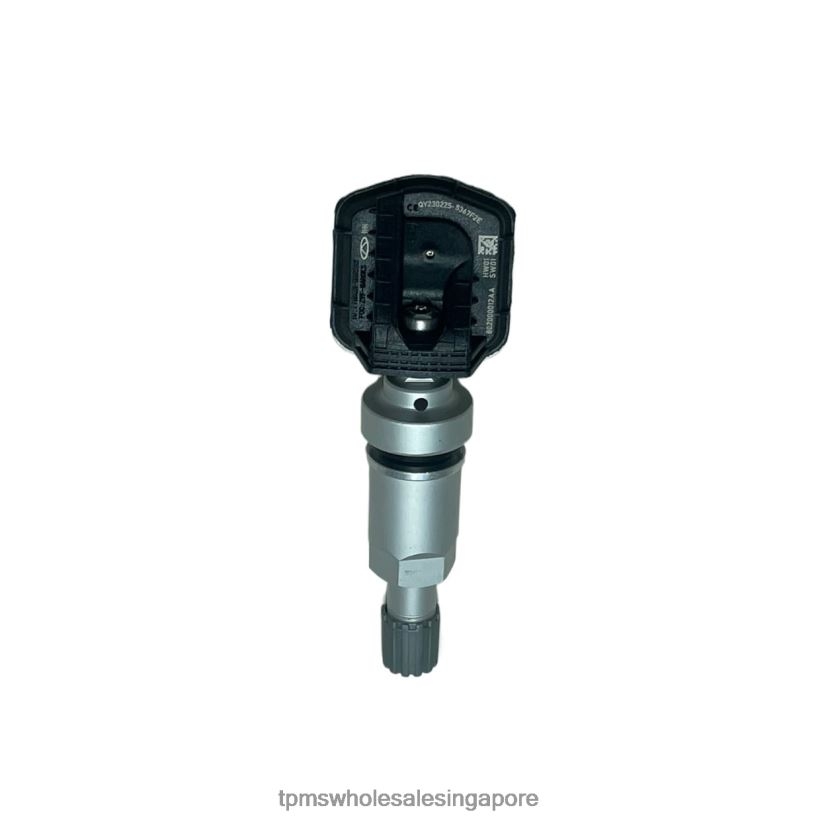 TPMS Singapore | 4ZR4481241 TPMS Chery Tire Pressure Sensor 802000012AA