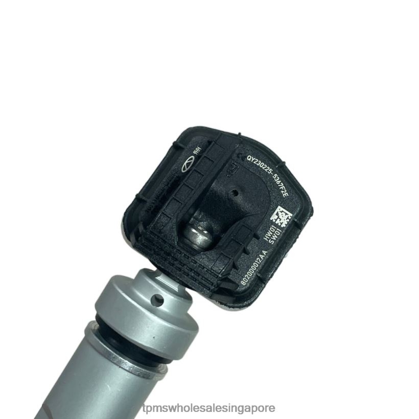 TPMS Singapore | 4ZR4481241 TPMS Chery Tire Pressure Sensor 802000012AA