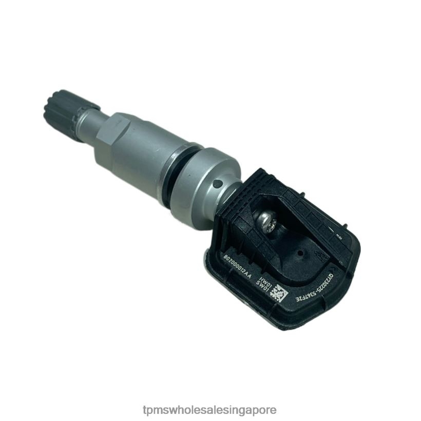 TPMS Singapore | 4ZR4481241 TPMS Chery Tire Pressure Sensor 802000012AA