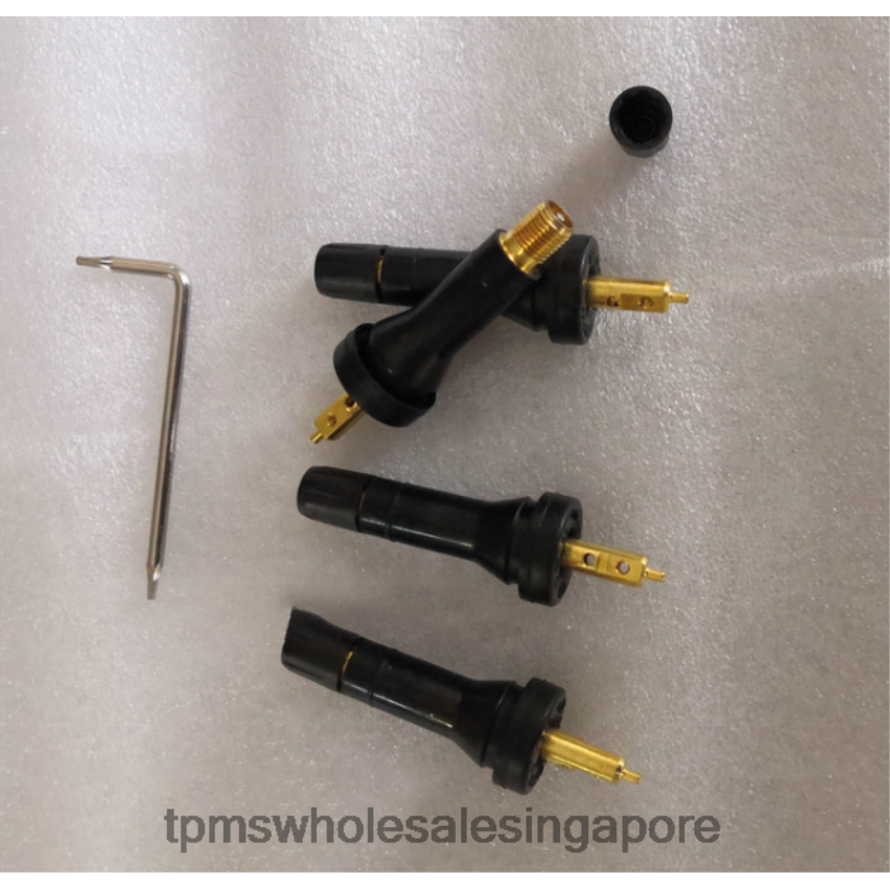 TPMS Sensor Shop | 4ZR4481257 TPMS Rongwei Tire Pressure Sensor 10718213